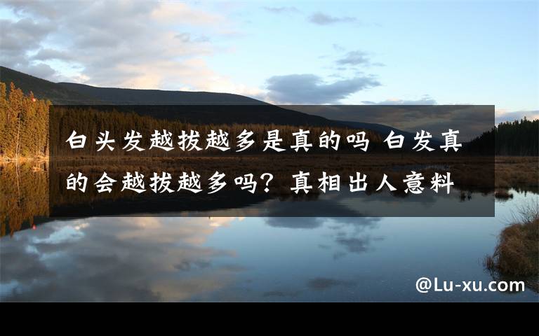 白頭發(fā)越拔越多是真的嗎 白發(fā)真的會越拔越多嗎？真相出人意料