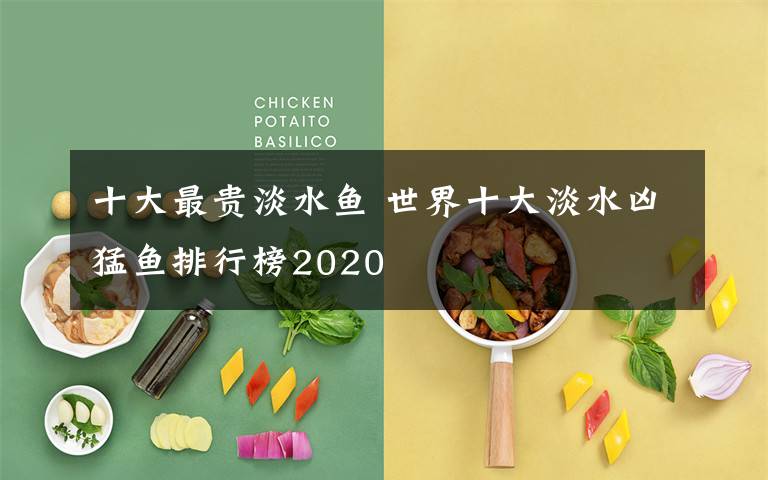 十大最貴淡水魚 世界十大淡水兇猛魚排行榜2020