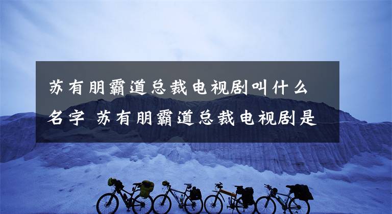 蘇有朋霸道總裁電視劇叫什么名字 蘇有朋霸道總裁電視劇是什么