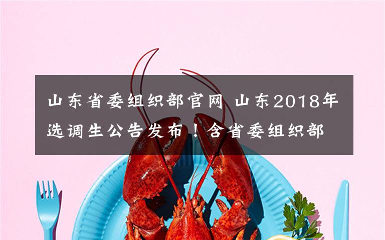 山東省委組織部官網(wǎng) 山東2018年選調(diào)生公告發(fā)布！含省委組織部、省紀委等熱門崗位！