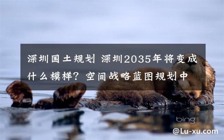 深圳國(guó)土規(guī)劃 深圳2035年將變成什么模樣？空間戰(zhàn)略藍(lán)圖規(guī)劃中……