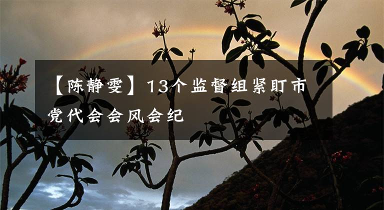 【陳靜雯】13個(gè)監(jiān)督組緊盯市黨代會(huì)會(huì)風(fēng)會(huì)紀(jì)