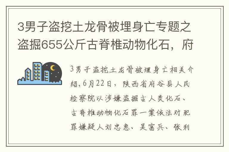 3男子盜挖土龍骨被埋身亡專題之盜掘655公斤古脊椎動物化石，府谷縣檢察院對劉忠惠、吳富兵、張利平批準(zhǔn)逮捕