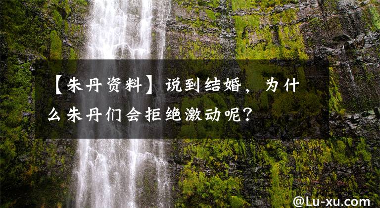 【朱丹資料】說(shuō)到結(jié)婚，為什么朱丹們會(huì)拒絕激動(dòng)呢？