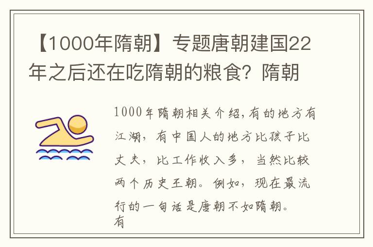 【1000年隋朝】專題唐朝建國22年之后還在吃隋朝的糧食？隋朝的防腐劑真的那么牛？