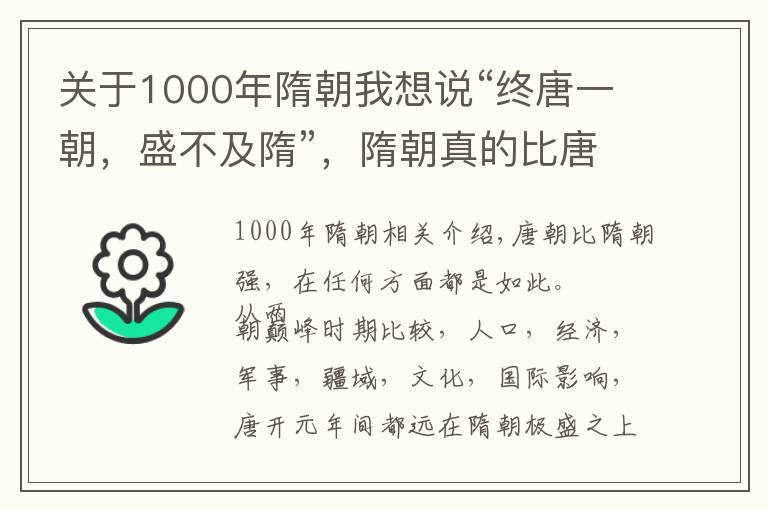 關(guān)于1000年隋朝我想說“終唐一朝，盛不及隋”，隋朝真的比唐朝強盛嗎？