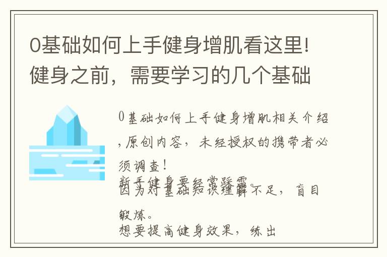 0基礎(chǔ)如何上手健身增肌看這里!健身之前，需要學(xué)習(xí)的幾個基礎(chǔ)知識，讓你更加高效地鍛煉