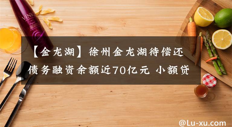 【金龍湖】徐州金龍湖待償還債務(wù)融資余額近70億元 小額貸款業(yè)務(wù)壞賬率近30%