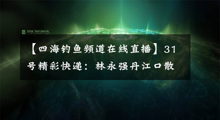 【四海釣魚頻道在線直播】31號精彩快遞：林永強丹江口散步大魚