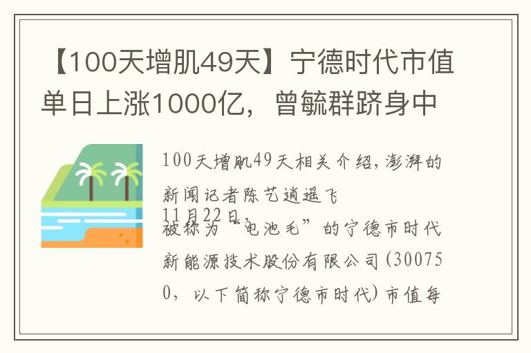 【100天增肌49天】寧德時(shí)代市值單日上漲1000億，曾毓群躋身中國(guó)第二大富豪