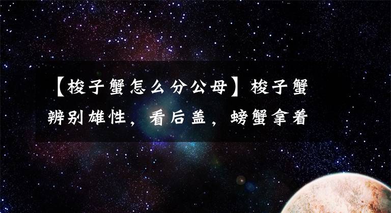 【梭子蟹怎么分公母】梭子蟹辨別雄性，看后蓋，螃蟹拿著昌毛蟹拿著盾，很容易記住。