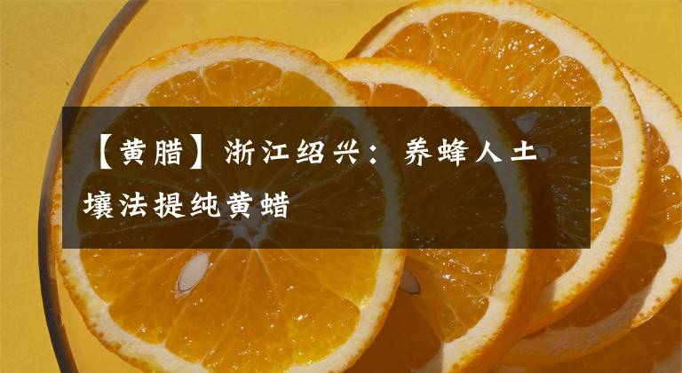 【黃臘】浙江紹興：養(yǎng)蜂人土壤法提純黃蠟