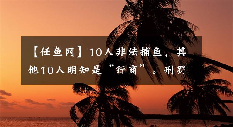 【任魚網(wǎng)】10人非法捕魚，其他10人明知是“行商”。刑罰經(jīng)濟(jì)處罰承擔(dān)生態(tài)修復(fù)費(fèi)。