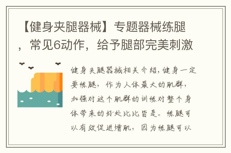 【健身夾腿器械】專題器械練腿，常見(jiàn)6動(dòng)作，給予腿部完美刺激，練出強(qiáng)壯下肢