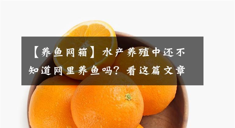 【養(yǎng)魚網(wǎng)箱】水產(chǎn)養(yǎng)殖中還不知道網(wǎng)里養(yǎng)魚嗎？看這篇文章就可以了