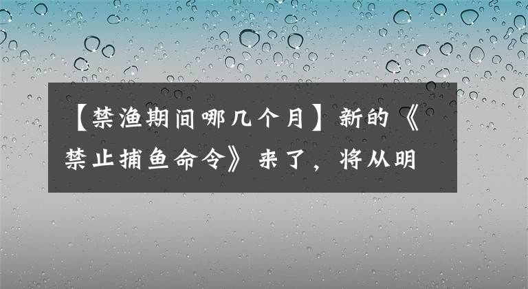 【禁漁期間哪幾個月】新的《禁止捕魚命令》來了，將從明年1月1日開始實施