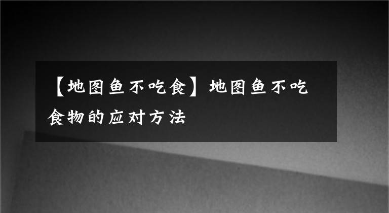 【地圖魚(yú)不吃食】地圖魚(yú)不吃食物的應(yīng)對(duì)方法