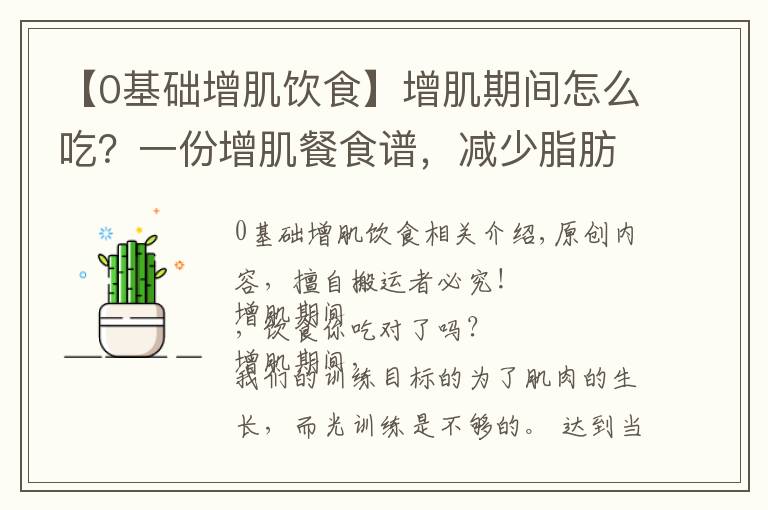 【0基礎(chǔ)增肌飲食】增肌期間怎么吃？一份增肌餐食譜，減少脂肪囤積，促進(jìn)肌肉生長