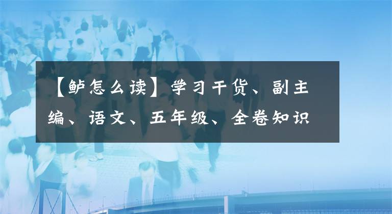 【鱸怎么讀】學(xué)習(xí)干貨、副主編、語文、五年級(jí)、全卷知識(shí)梳理。