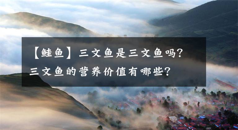 【鮭魚】三文魚是三文魚嗎？三文魚的營養(yǎng)價值有哪些？