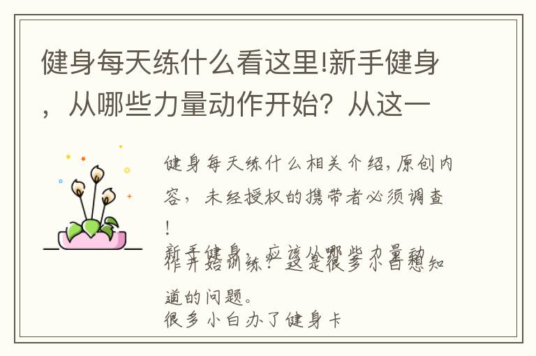 健身每天練什么看這里!新手健身，從哪些力量動作開始？從這一組黃金健身動作開始