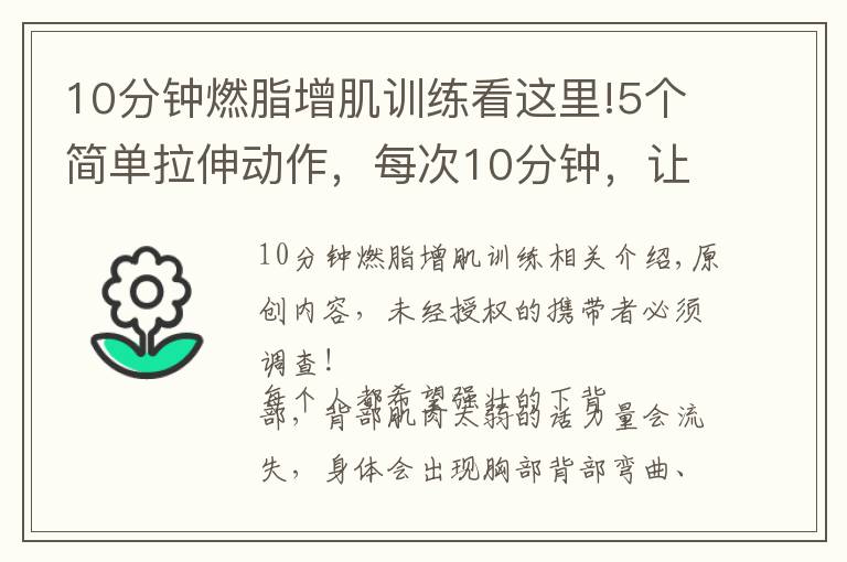 10分鐘燃脂增肌訓練看這里!5個簡單拉伸動作，每次10分鐘，讓腰酸背痛遠離你