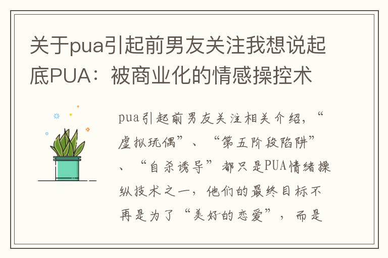 關于pua引起前男友關注我想說起底PUA：被商業(yè)化的情感操控術