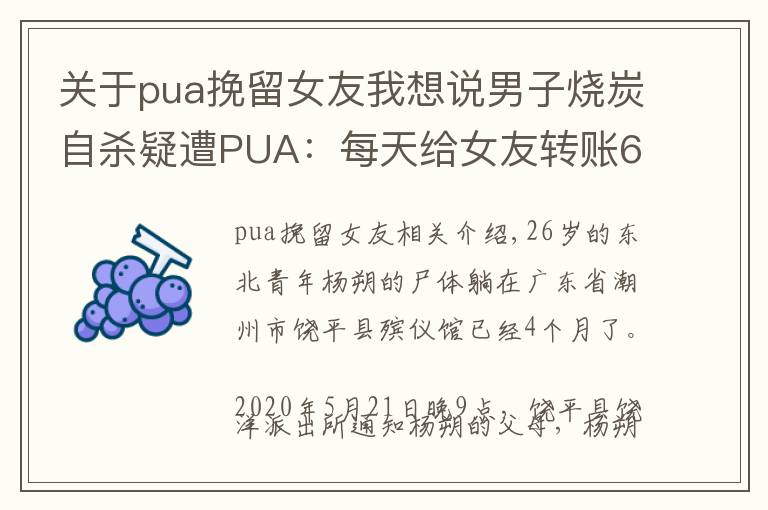 關于pua挽留女友我想說男子燒炭自殺疑遭PUA：每天給女友轉賬666元，不轉會被罰