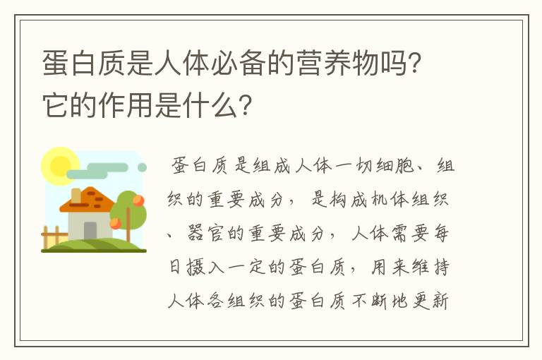 蛋白質(zhì)是人體必備的營養(yǎng)物嗎？它的作用是什么？