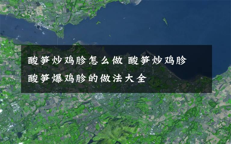 酸筍炒雞胗怎么做 酸筍炒雞胗 酸筍爆雞胗的做法大全