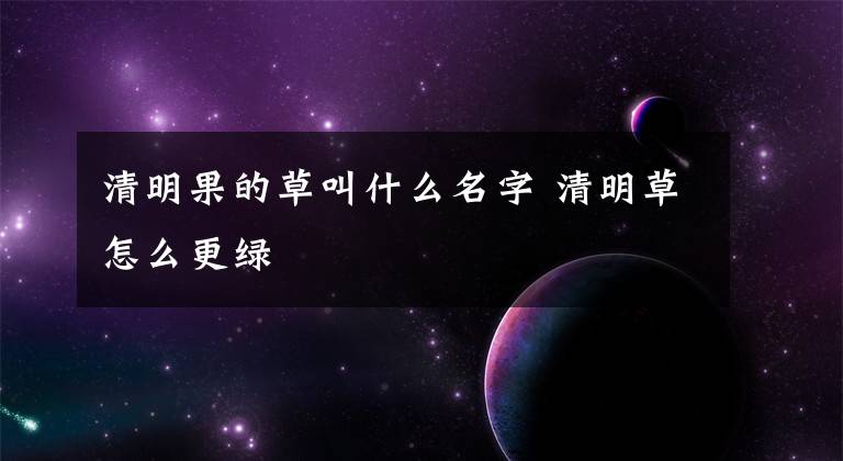 清明果的草叫什么名字 清明草怎么更綠