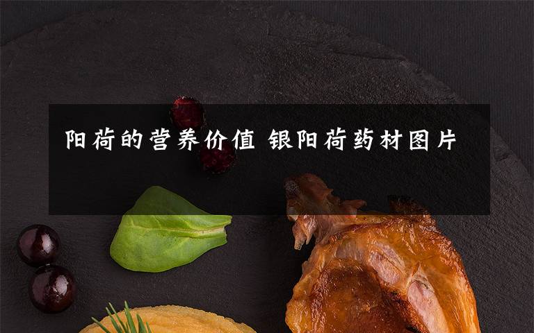 陽荷的營(yíng)養(yǎng)價(jià)值 銀陽荷藥材圖片