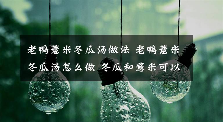 老鴨薏米冬瓜湯做法 老鴨薏米冬瓜湯怎么做 冬瓜和薏米可以祛濕嗎