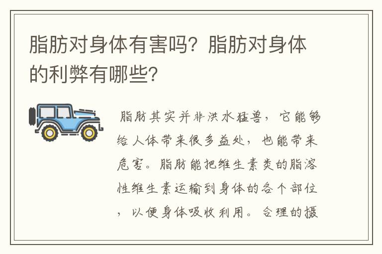 脂肪對身體有害嗎？脂肪對身體的利弊有哪些？