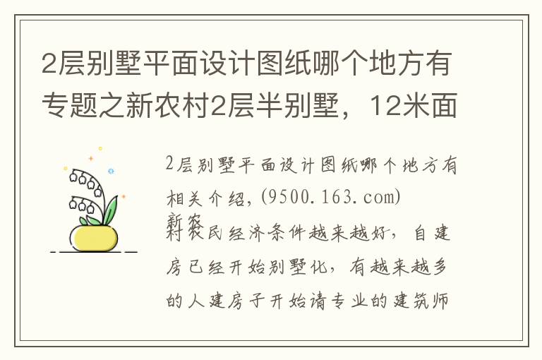 2層別墅平面設(shè)計圖紙哪個地方有專題之新農(nóng)村2層半別墅，12米面寬，兩種平面圖方案哪個好？