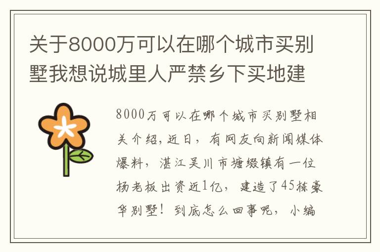 關(guān)于8000萬可以在哪個城市買別墅我想說城里人嚴(yán)禁鄉(xiāng)下買地建別墅，廣東卻有老板花8000萬建45棟別墅