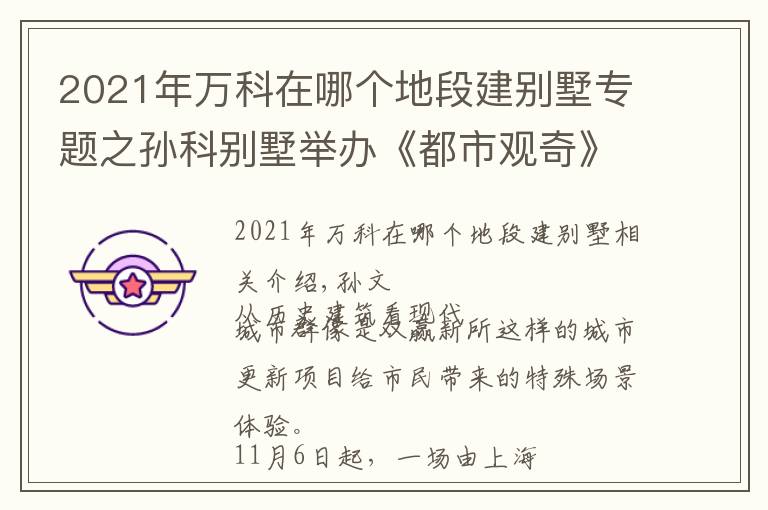 2021年萬科在哪個地段建別墅專題之孫科別墅舉辦《都市觀奇》展