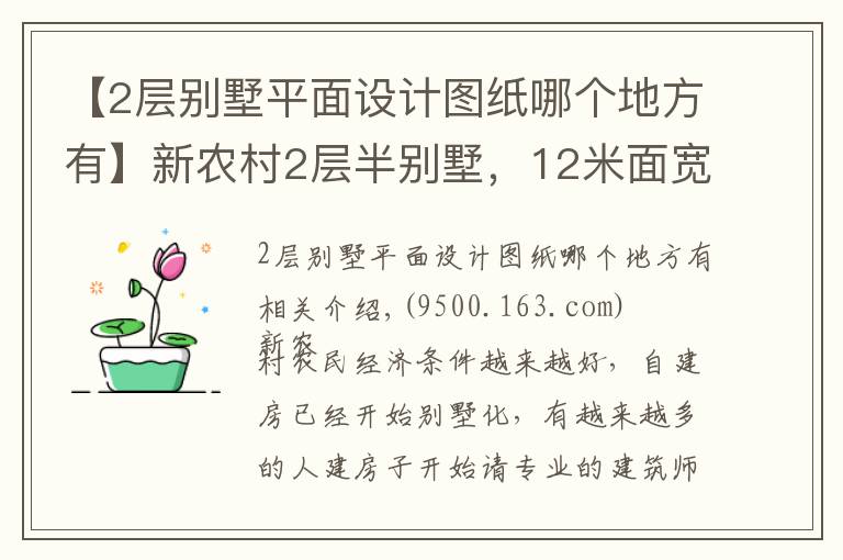 【2層別墅平面設(shè)計圖紙哪個地方有】新農(nóng)村2層半別墅，12米面寬，兩種平面圖方案哪個好？