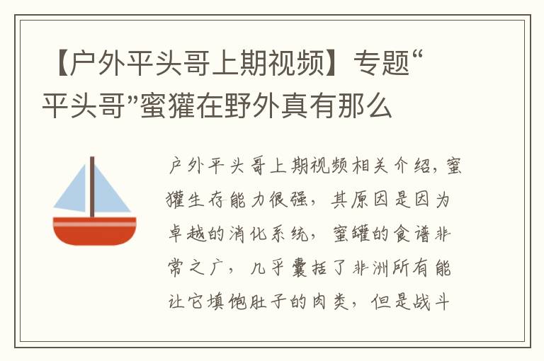 【戶外平頭哥上期視頻】專題“平頭哥"蜜獾在野外真有那么強(qiáng)嗎？真相在這里-戶外動(dòng)物知識(shí)