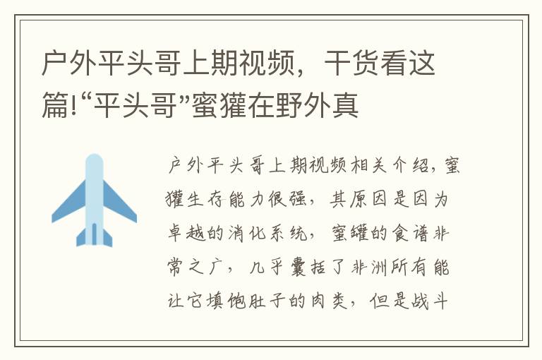 戶外平頭哥上期視頻，干貨看這篇!“平頭哥"蜜獾在野外真有那么強嗎？真相在這里-戶外動物知識