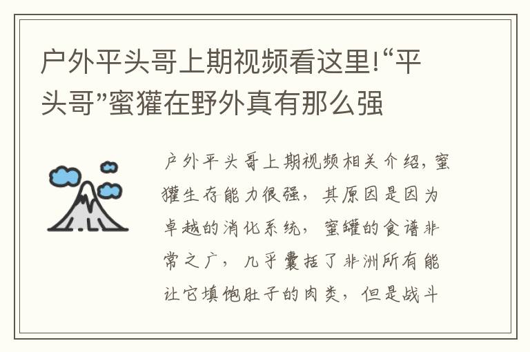 戶外平頭哥上期視頻看這里!“平頭哥"蜜獾在野外真有那么強(qiáng)嗎？真相在這里-戶外動(dòng)物知識(shí)