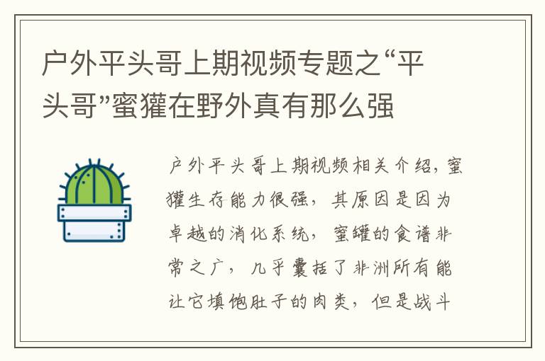 戶外平頭哥上期視頻專題之“平頭哥"蜜獾在野外真有那么強(qiáng)嗎？真相在這里-戶外動(dòng)物知識(shí)