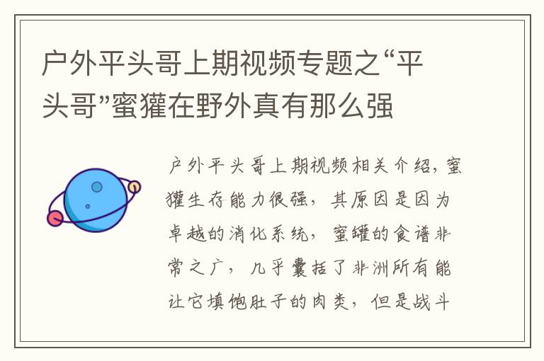 戶外平頭哥上期視頻專題之“平頭哥"蜜獾在野外真有那么強(qiáng)嗎？真相在這里-戶外動物知識