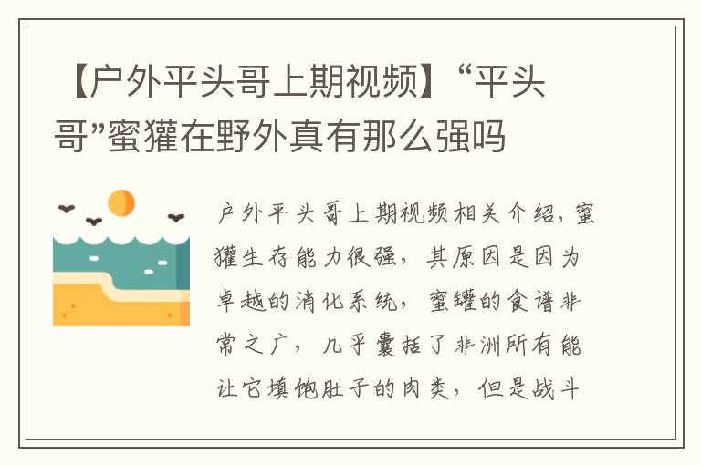 【戶外平頭哥上期視頻】“平頭哥"蜜獾在野外真有那么強(qiáng)嗎？真相在這里-戶外動(dòng)物知識(shí)