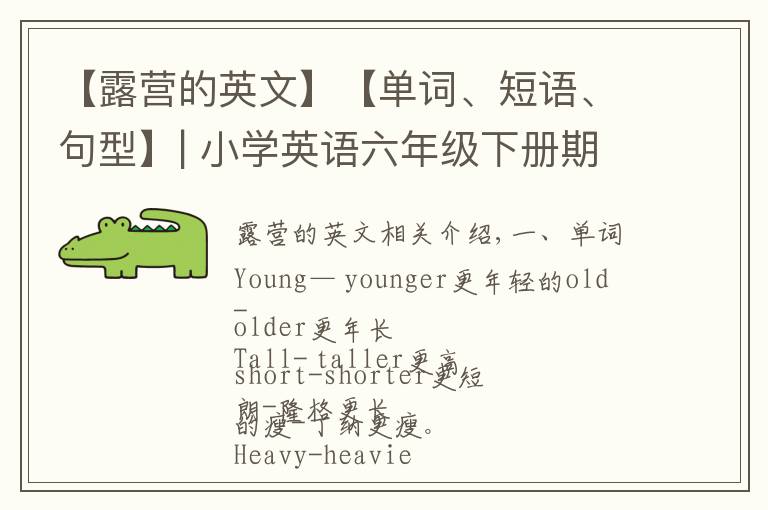 【露營的英文】【單詞、短語、句型】| 小學(xué)英語六年級(jí)下冊(cè)期末重點(diǎn)知識(shí)歸納