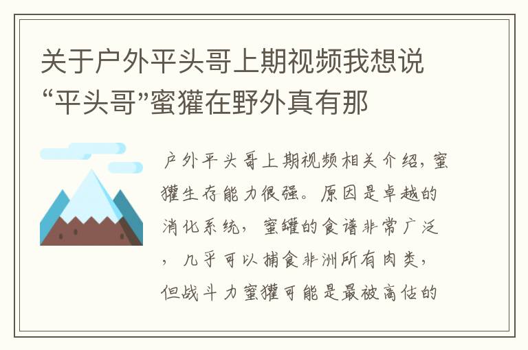 關(guān)于戶外平頭哥上期視頻我想說(shuō)“平頭哥"蜜獾在野外真有那么強(qiáng)嗎？真相在這里-戶外動(dòng)物知識(shí)