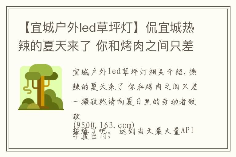 【宜城戶外led草坪燈】侃宜城熱辣的夏天來了 你和烤肉之間只差一撮孜然|請向夏日里的勞動者致敬