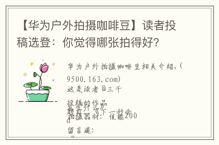 【華為戶外拍攝咖啡豆】讀者投稿選登：你覺得哪張拍得好？