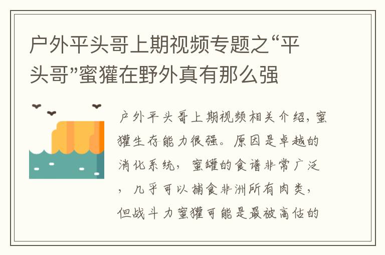 戶外平頭哥上期視頻專題之“平頭哥"蜜獾在野外真有那么強(qiáng)嗎？真相在這里-戶外動物知識