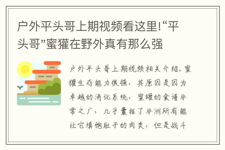 戶外平頭哥上期視頻看這里!“平頭哥"蜜獾在野外真有那么強嗎？真相在這里-戶外動物知識